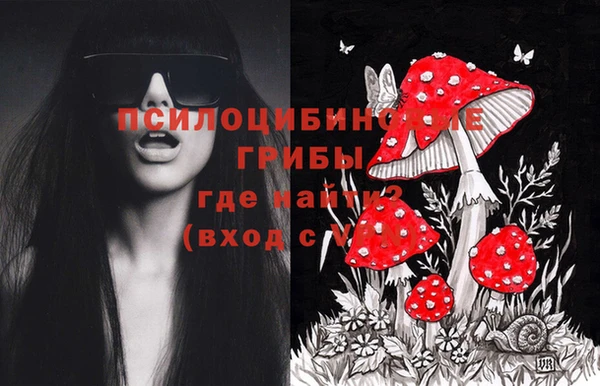 крисы Хадыженск